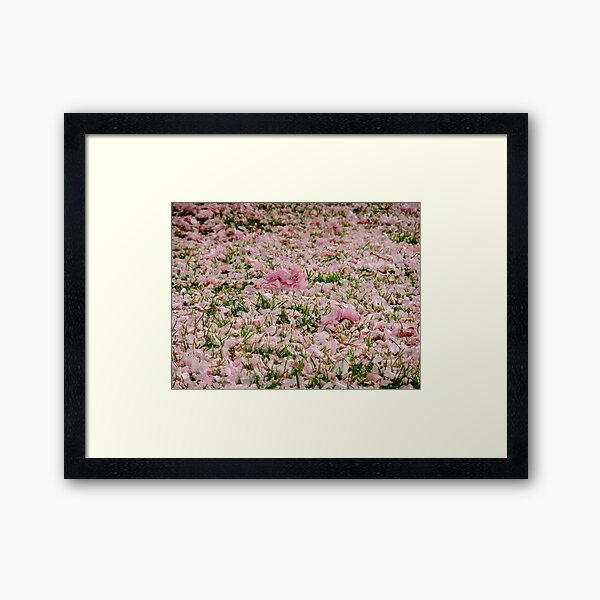 Fallen petals Framed Art Print