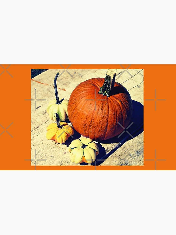 Gift for Food Blogger - Pumpkin and Squash Art - Kitchen and Dining Decor by OneDayArt