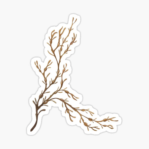 Knotted Wrack Sticker