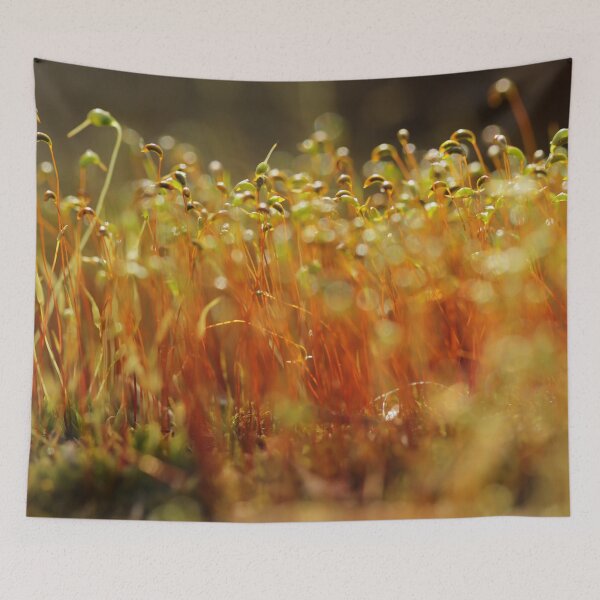 Item preview, Moss Macro designed and sold by StampCity.