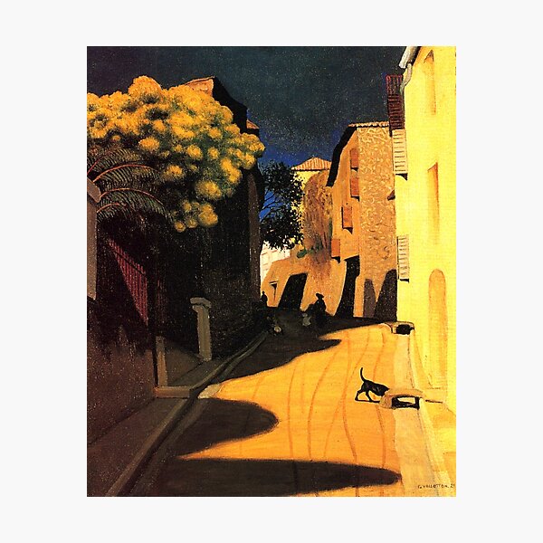 Félix Vallotton - Mimosa with Flowers at Cagnes Photographic Print