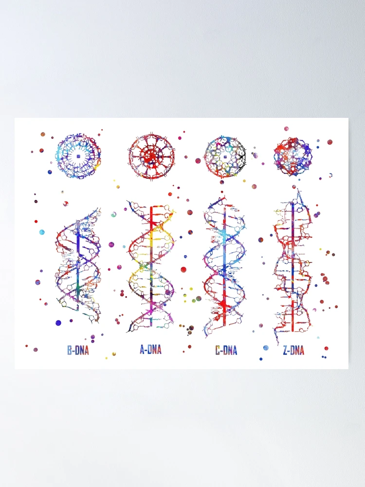 (CD)Dna on Dna／DNA Junk DNA | Dibu-Z | Dominance Electricity