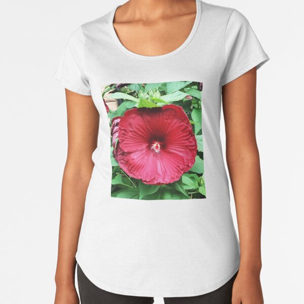 Hibiscus High - Tropical Flower Art Photo by OneDayOneImage - Gift for Gardener - Flower Lover Premium Scoop T-Shirt
