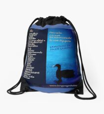 Demistifying Être verbs in the Passé Composé! Drawstring Bag