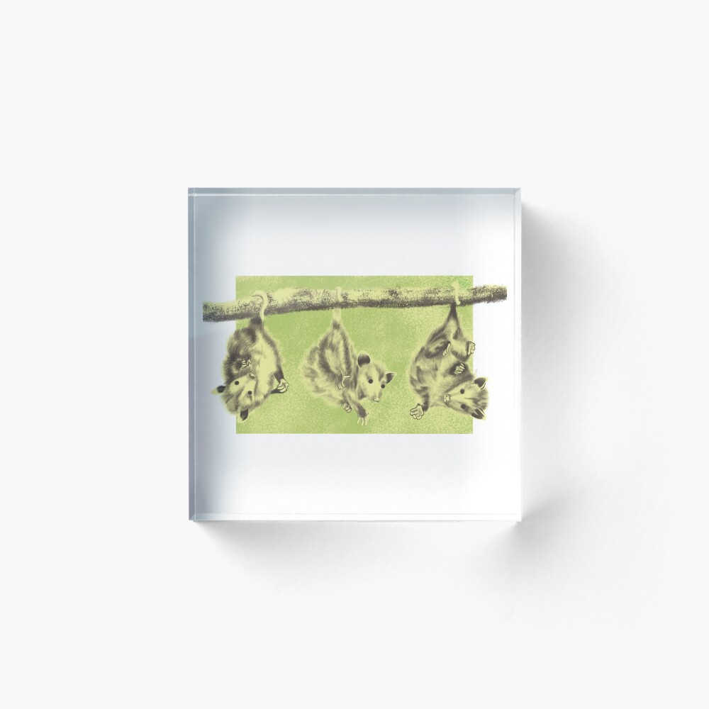 Item preview, Acrylic Block designed and sold by Disasterisms.