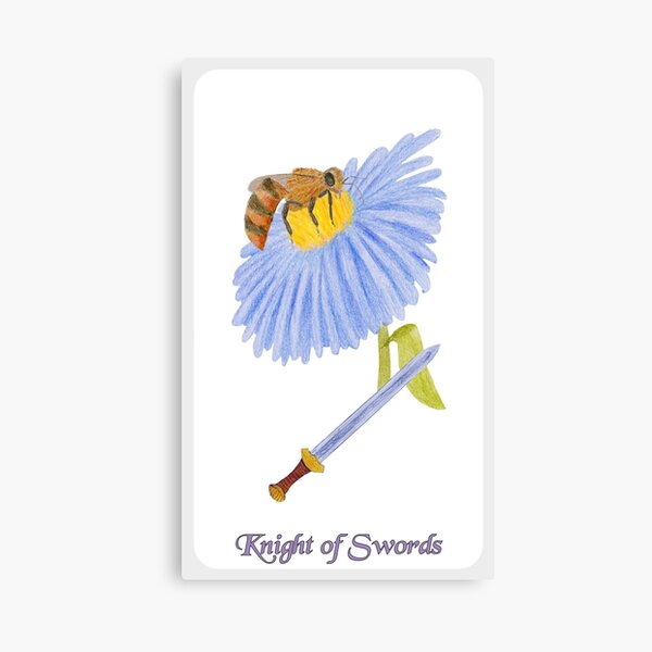 Knight of Swords Canvas Print