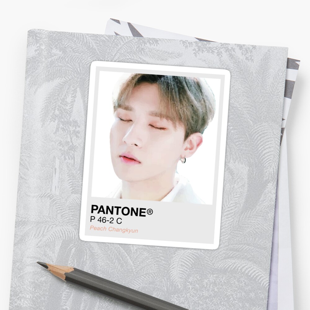 changkyun im monsta x pantone sticker by duckiechan redbubble