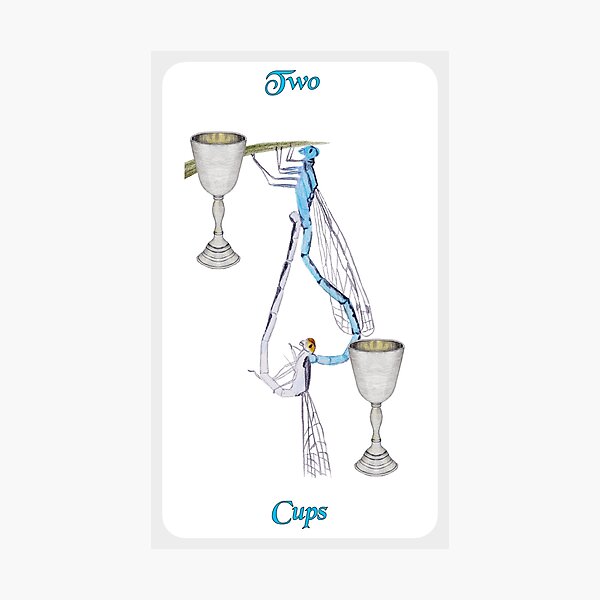 Two of Cups Photographic Print