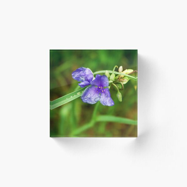 Purple Flower Acrylic Block