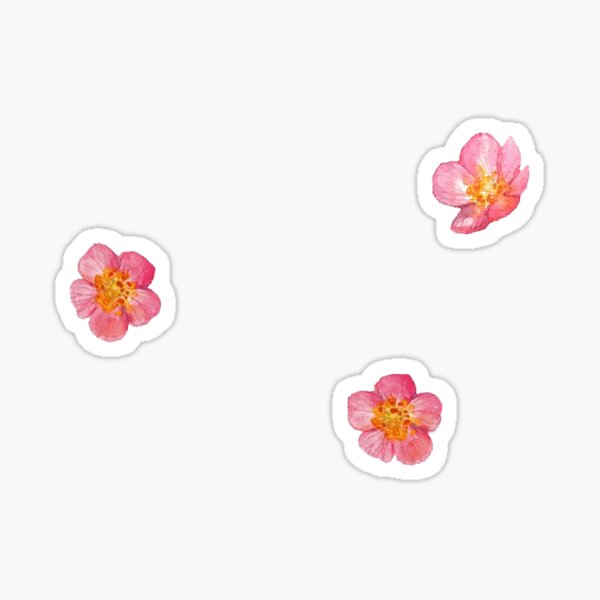 three pink flowers Sticker