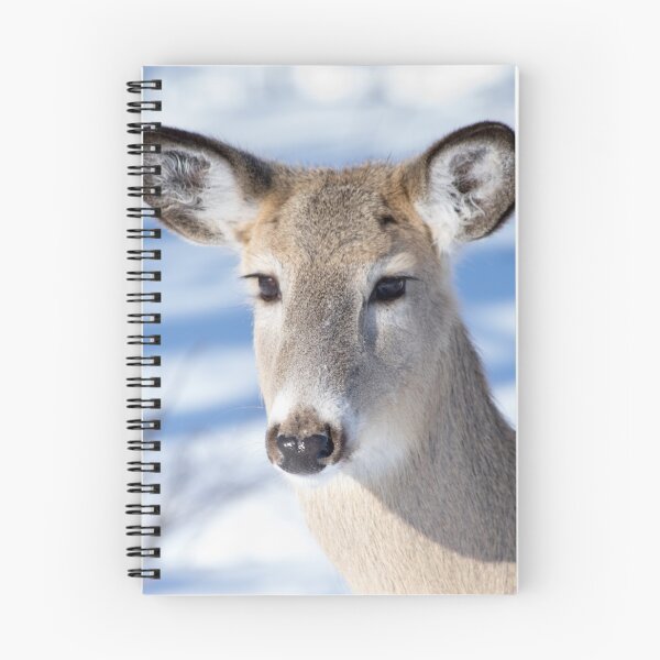 Item preview, Young Deer with amazing eyes. designed and sold by CanadianWild418.
