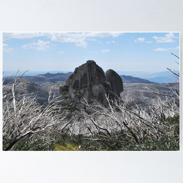 Item preview, Cathedral Rock Admist Burn't Out Trees designed and sold by Lorraine McCarthy.