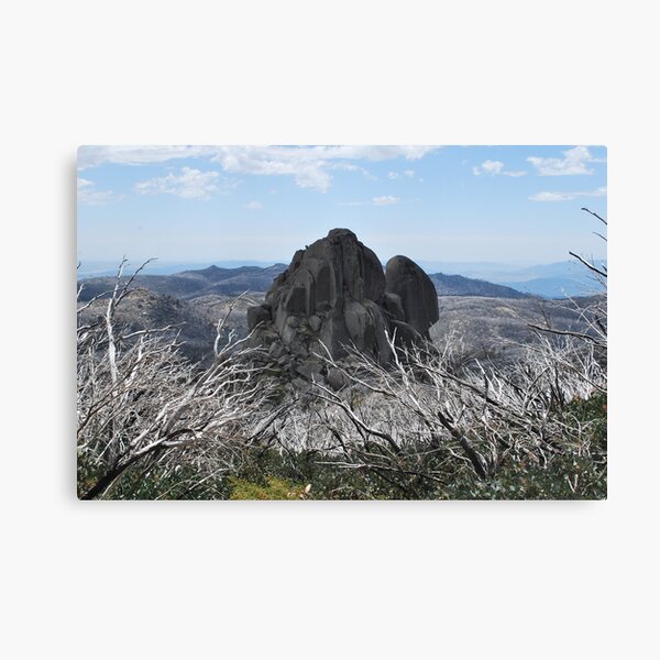 Item preview, Cathedral Rock Admist Burn't Out Trees designed and sold by Lorraine McCarthy.