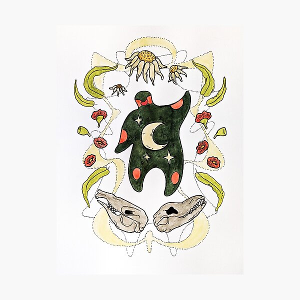 Gum leaves and blossoms with thylacine and rock wallaby skulls. Photographic Print