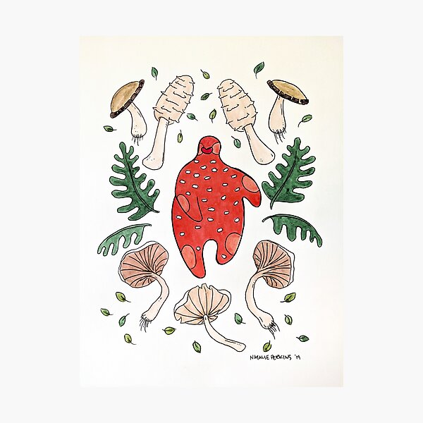 The language between mushrooms and trees. Photographic Print