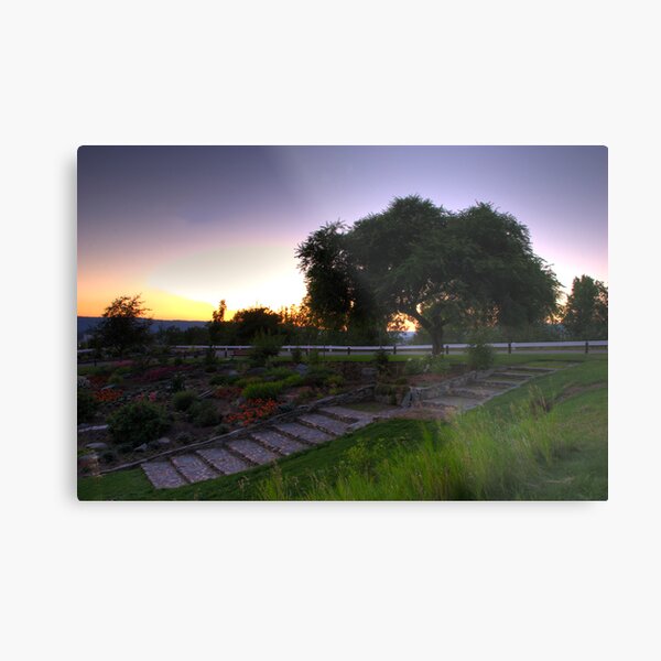 Connaught Sunset Metal Print