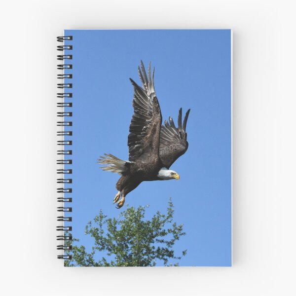 Item preview, Bald Eagle designed and sold by Susan Wallace.