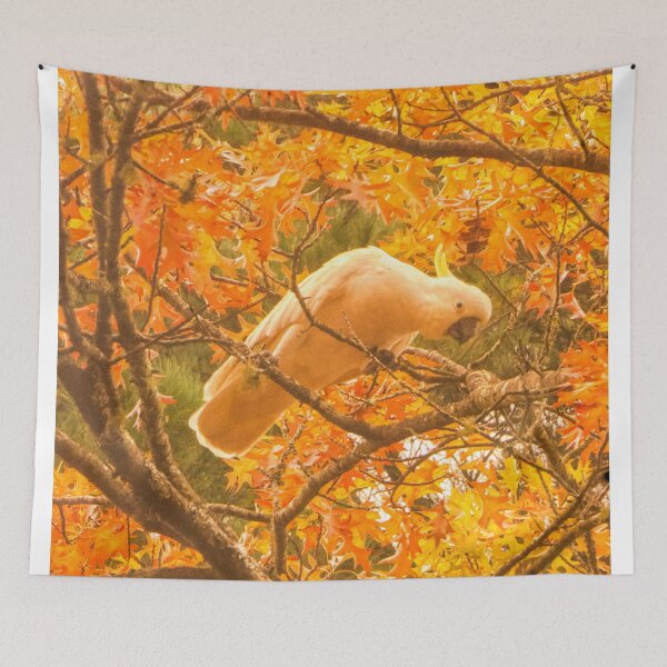 Item preview, Autumn Melody - Blackheath NSW Australia designed and sold by Salieri1627.