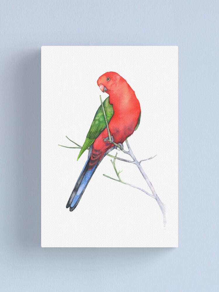 Parrot" Canvas Print by | Redbubble