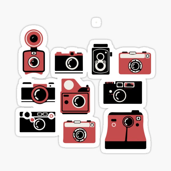 vintage cameras Sticker