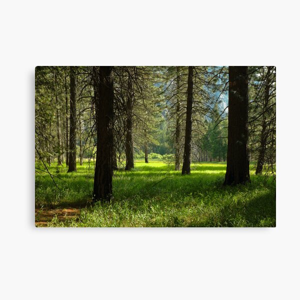Zumwalt's Meadow Canvas Print