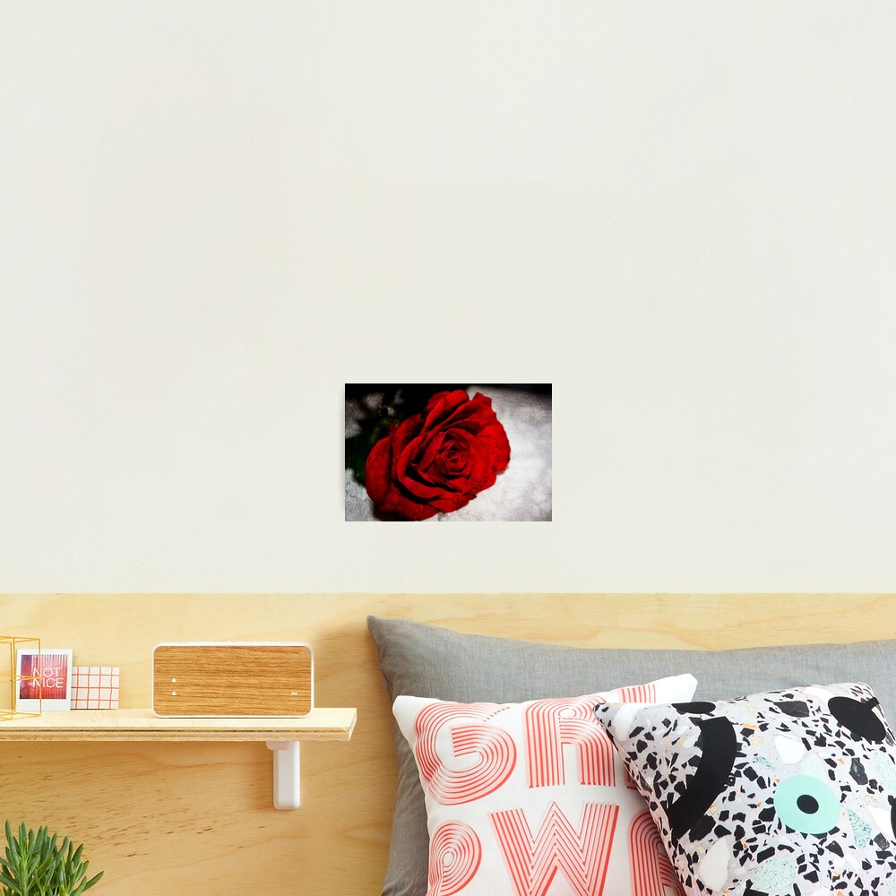 Item preview, Photographic Print designed and sold by springwatcher.