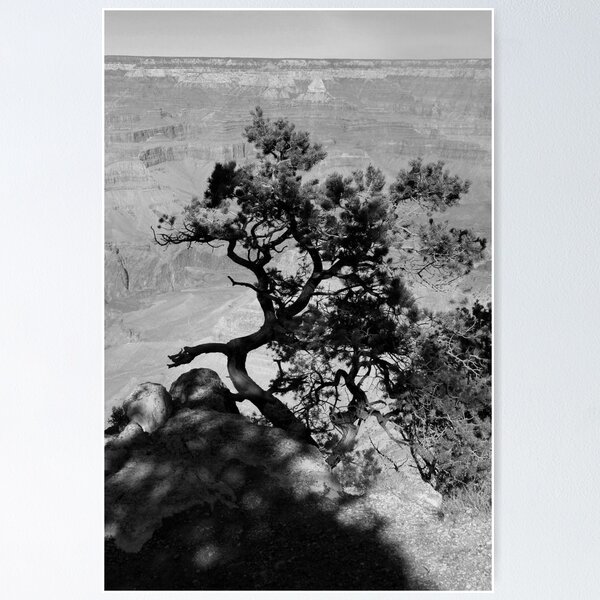 Item preview, GRAND CANYON sans colour #12 designed and sold by coffeebean.