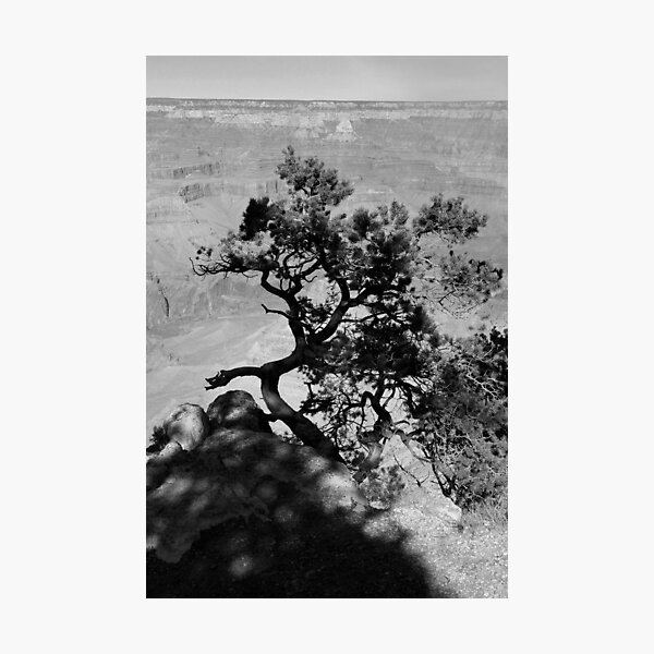 Item preview, GRAND CANYON sans colour #12 designed and sold by coffeebean.