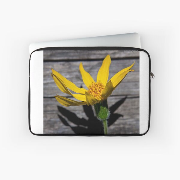 Item preview, Mule's Ear     #1257 designed and sold by JL Woody Wooden.