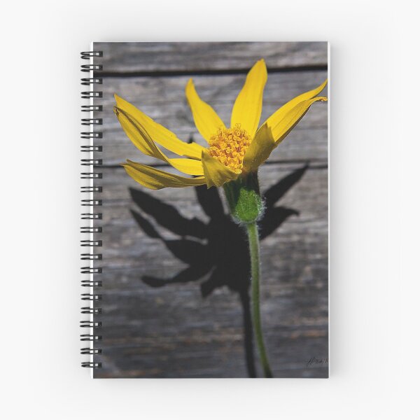 Item preview, Mule's Ear     #1257 designed and sold by JL Woody Wooden.