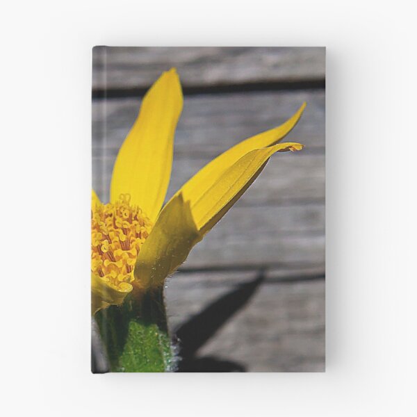 Item preview, Mule's Ear     #1257 designed and sold by JL Woody Wooden.