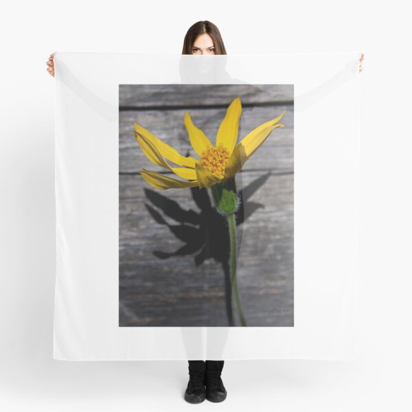 Item preview, Mule's Ear     #1257 designed and sold by JL Woody Wooden.