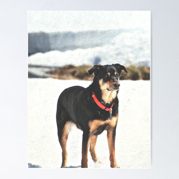 Item preview, Mia Sophia designed and sold by Cupertino.