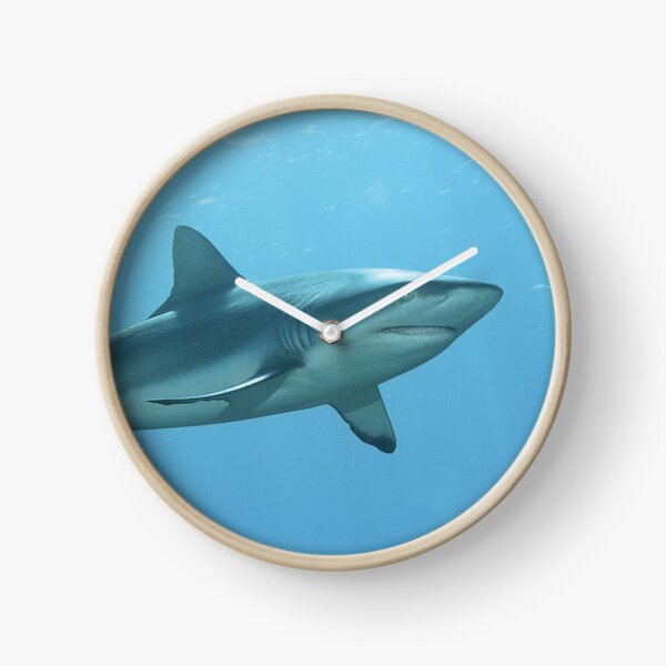 Riffhaie | Elegante Jäger | Uhr