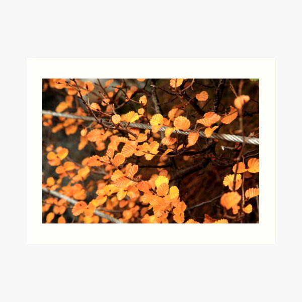 Hanging by Wire Art Print