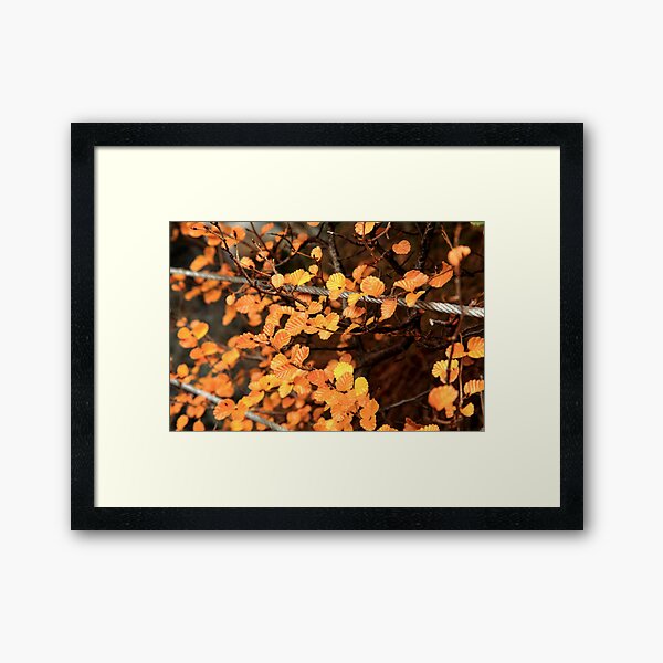 Hanging by Wire Framed Art Print