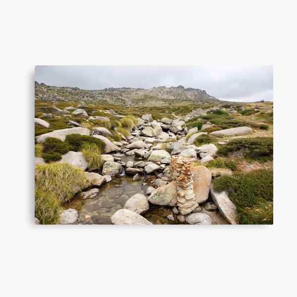 Mount Kosciuszko Summit Walk Canvas Print