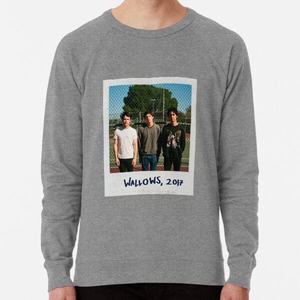 wallows purple sweatshirt