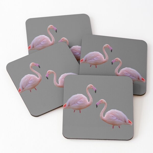 Item preview, What is better than one Flamingo Two flamingoes designed and sold by Dalyndigital Photography.