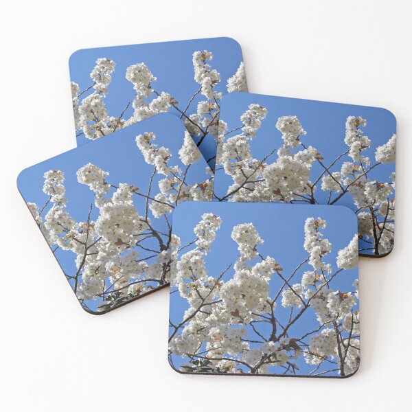 Item preview, White Cherry Blossom designed and sold by pinkal.