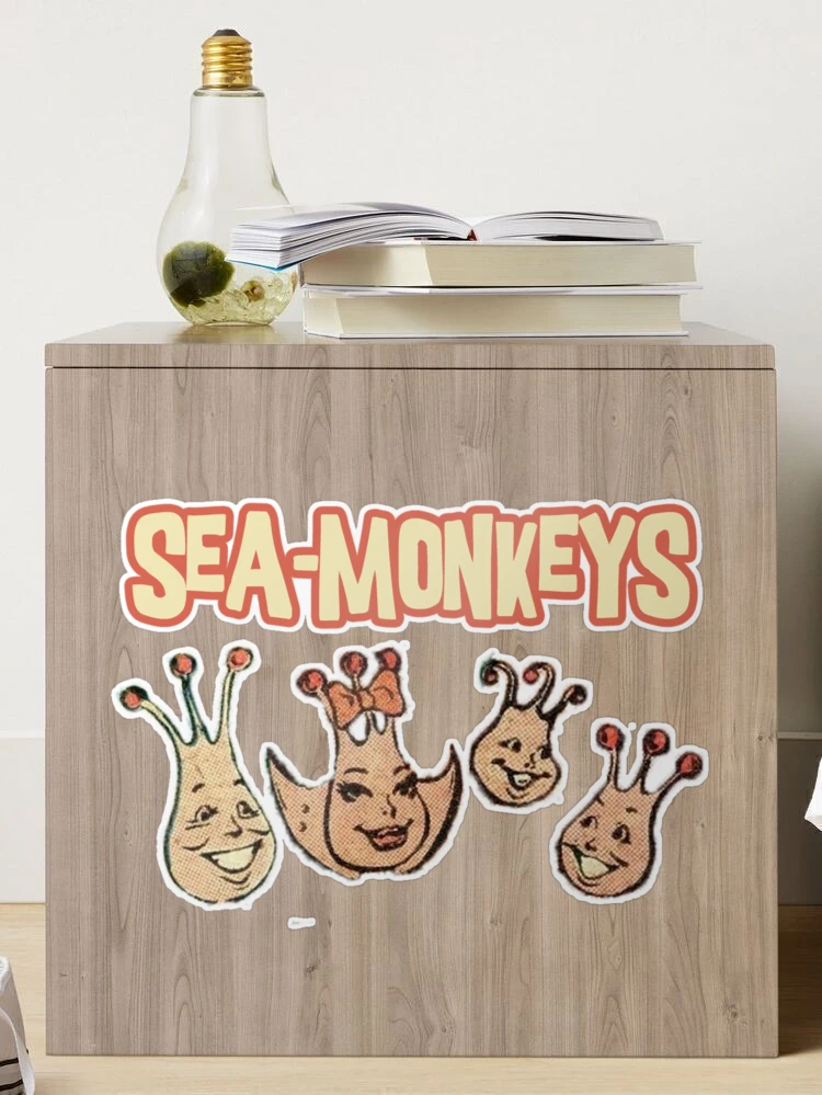 Sea Monkeys Shaky Bobblehead from sea-monkeys.com – The Toys Time Forgot