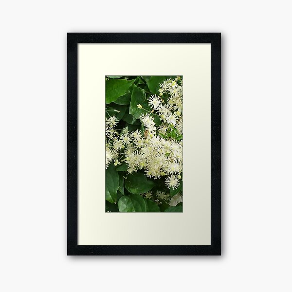 Bee on a flower Framed Art Print
