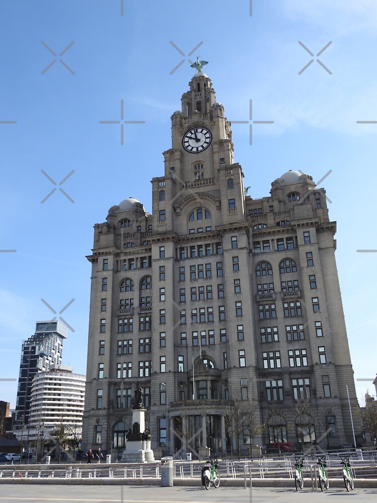 Liverpool Liver Building Photo by tribbledesign