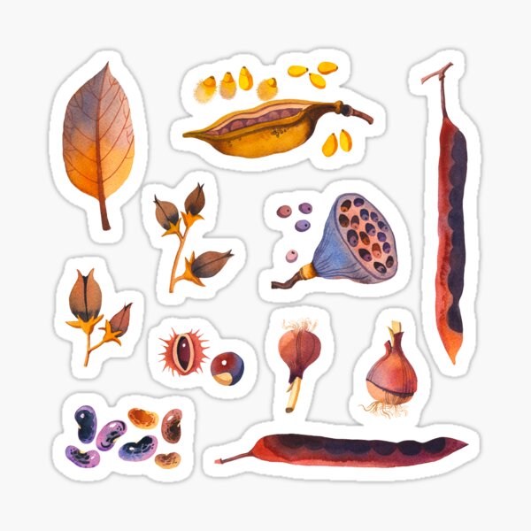 Item preview,  Nature Gifts Stickers Volume 1 designed and sold by Olga Begak.