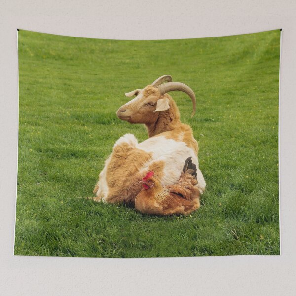 Item preview, Unlikely Friends designed and sold by Terri Waters Photography & Design.