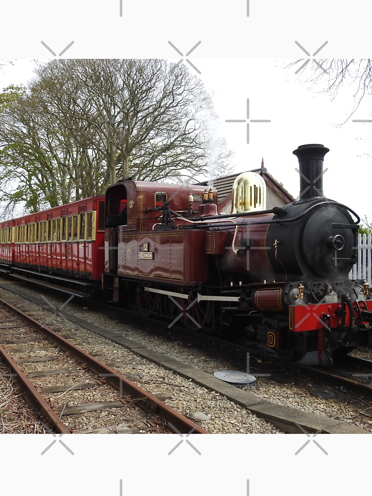 Isle of Man Steam Train Photo by tribbledesign