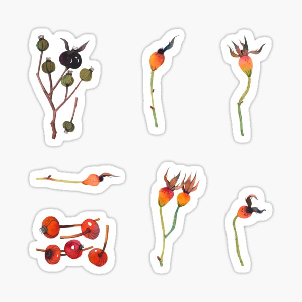 Nature Gifts Stickers — Rose Hips Sticker