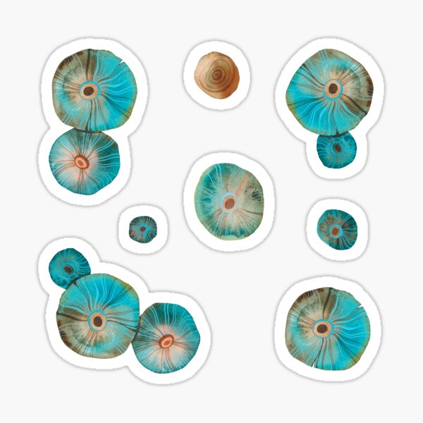 Nature Gifts Stickers — Mushrooms Sticker