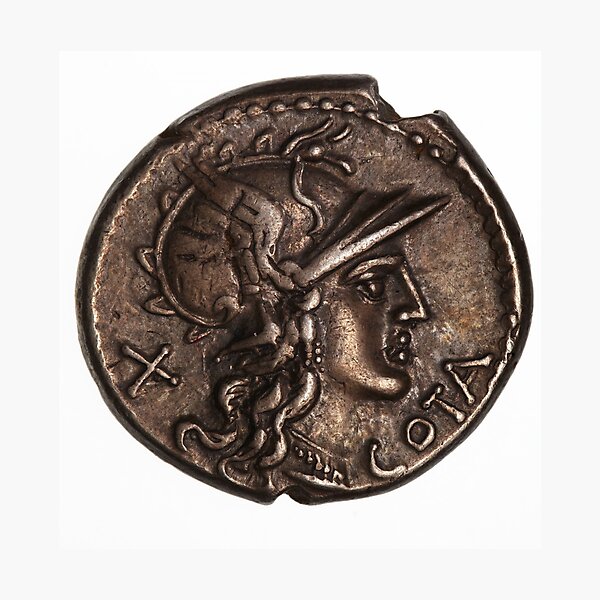 #coin, #metal, #currency, #copper, history, nickel, medal, isolate, one, art, old Photographic Print