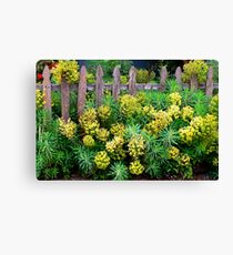 Old Fashioned and Romantic Canvas Print